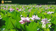 zs@c隬 m̘@